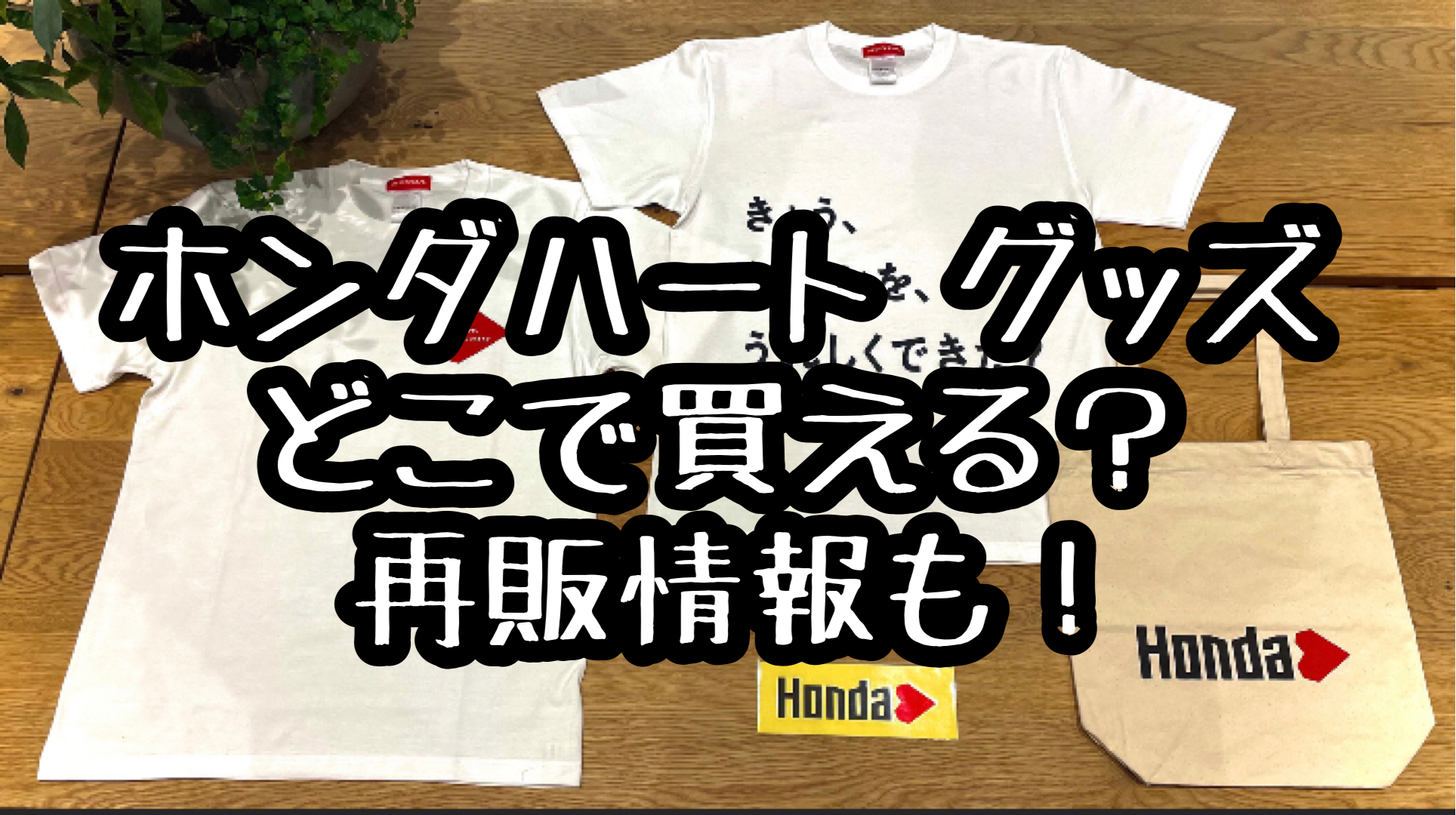 Lサイズ Hondaハート×WIND AND SEA Tシャツ ブラック 国内外の人気が集結 5396円引き swim.main.jp